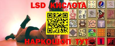 прущие грибы Коммунар