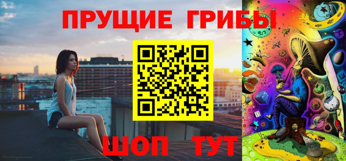 Кировск  Галлюциногенные грибы Cubensis  Вход с VPN 